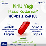 Krill Yağı