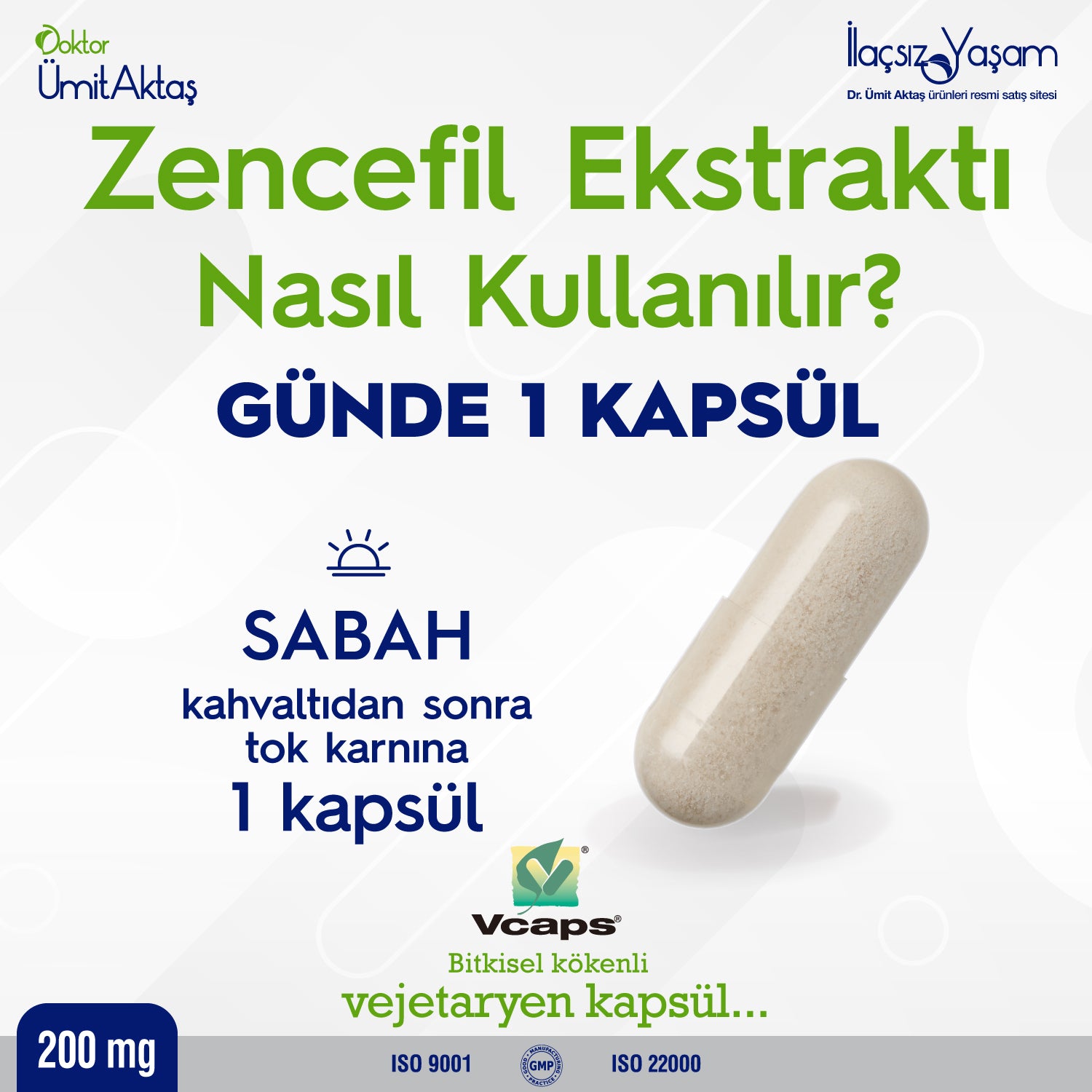 Zencefil Ekstraktı