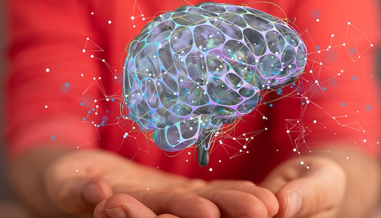 Beyin Fonksiyonlarını Destekleyen Sağlıklı Yaşam Alışkanlıkları