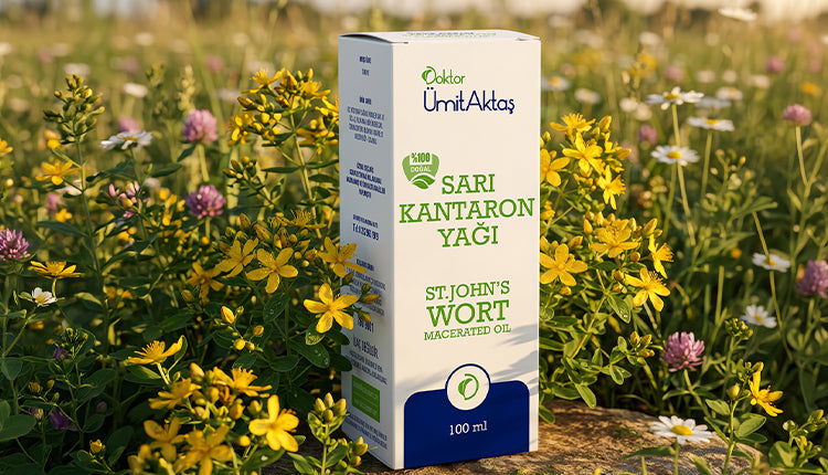 Sarı Kantaron Yağı Nedir ?