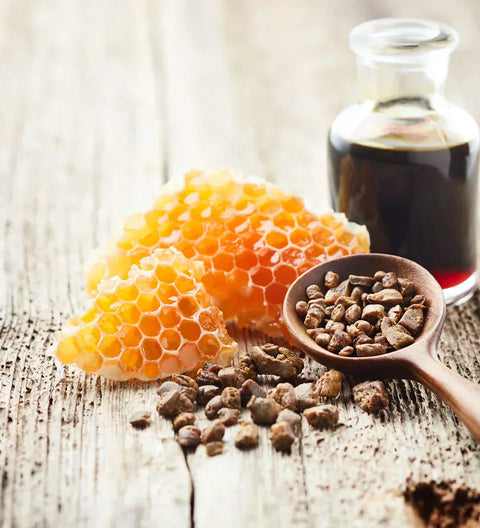 Propolis Nedir?