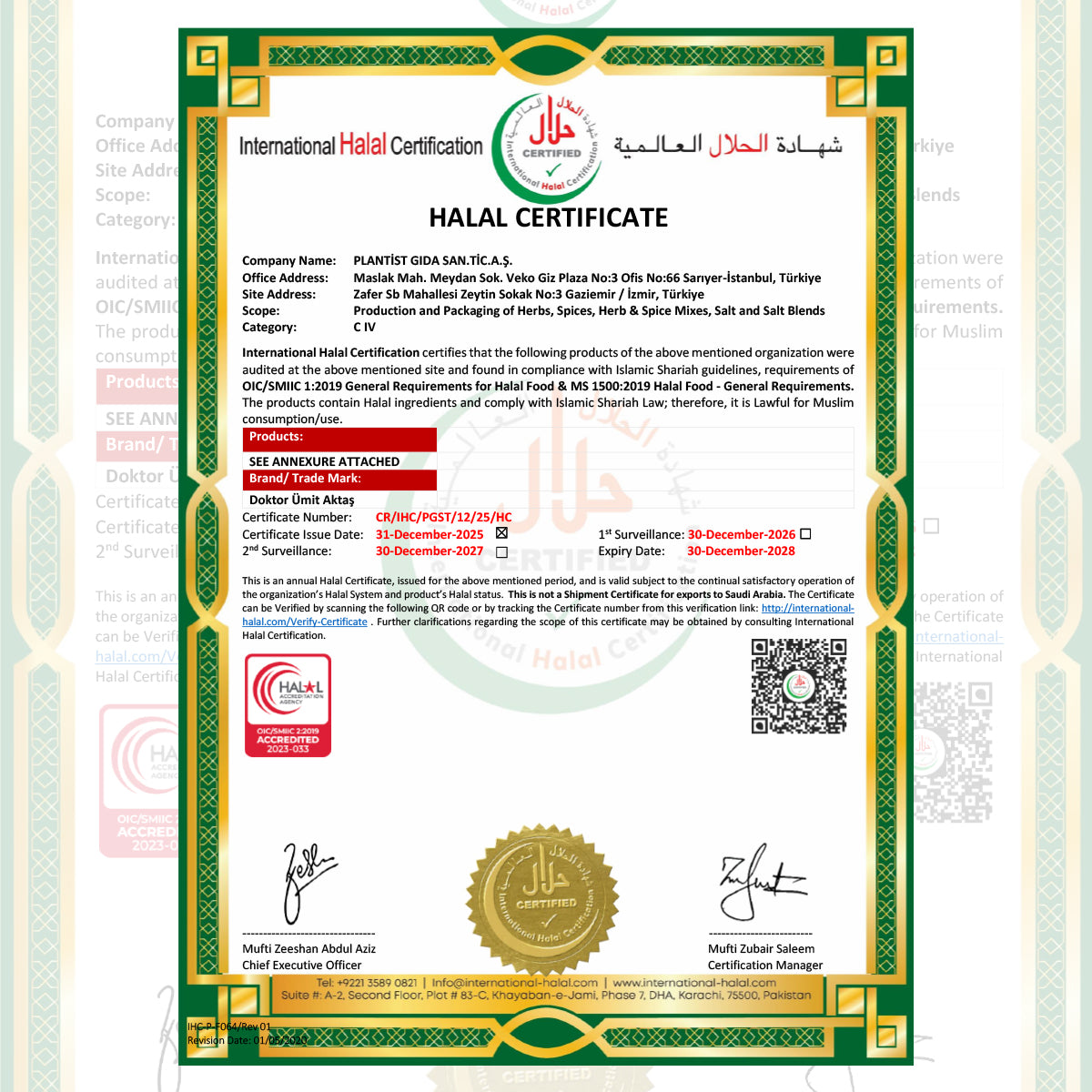 Kimyon – Cuminum cyminum