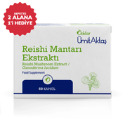 Reishi Mantarı Ekstraktı