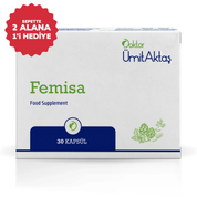 Femisa