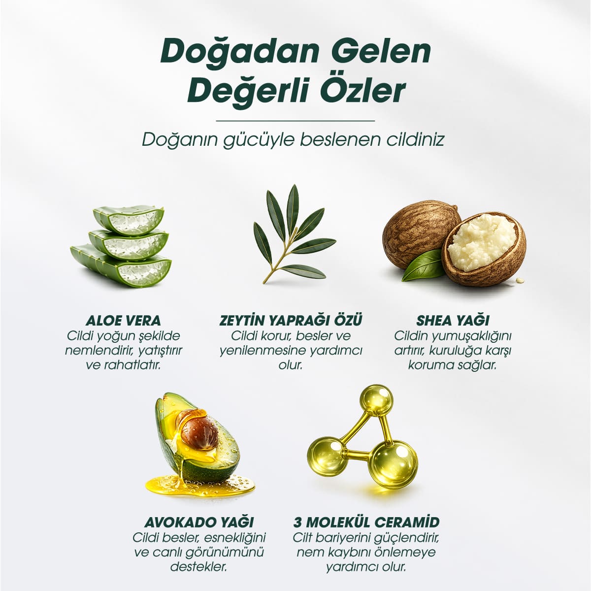 OleaDerma %98 Doğal Vücut Losyonu - 250 mL