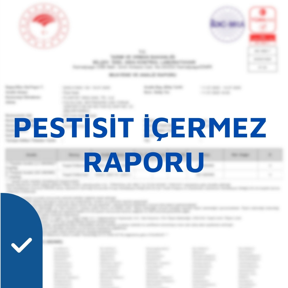 Analiz Raporu