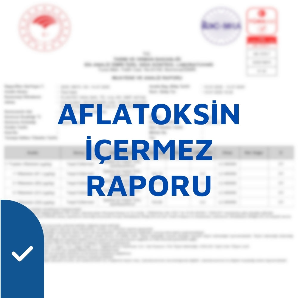 Analiz Raporu