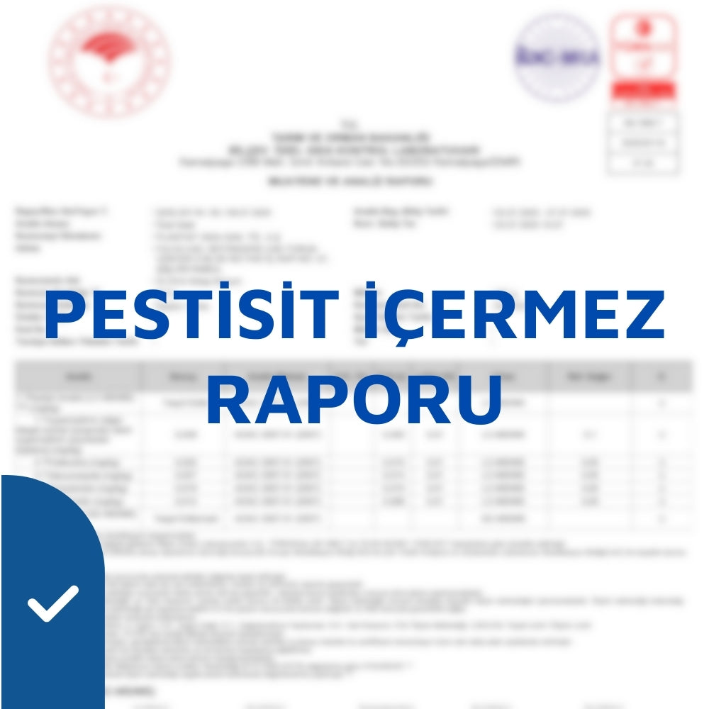 Analiz Raporu