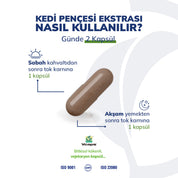 Kedi Pençesi Ekstresi