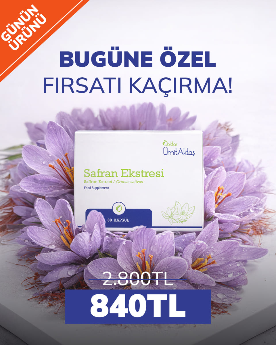 Mobil_Banner_1fc3e62c-a766-40d2-81bd-0f48465376b8.jpg