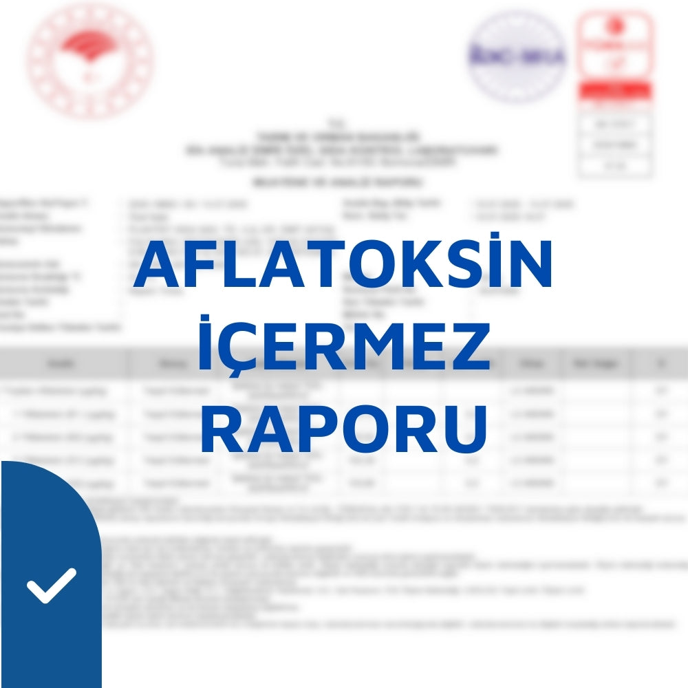 Analiz Raporu