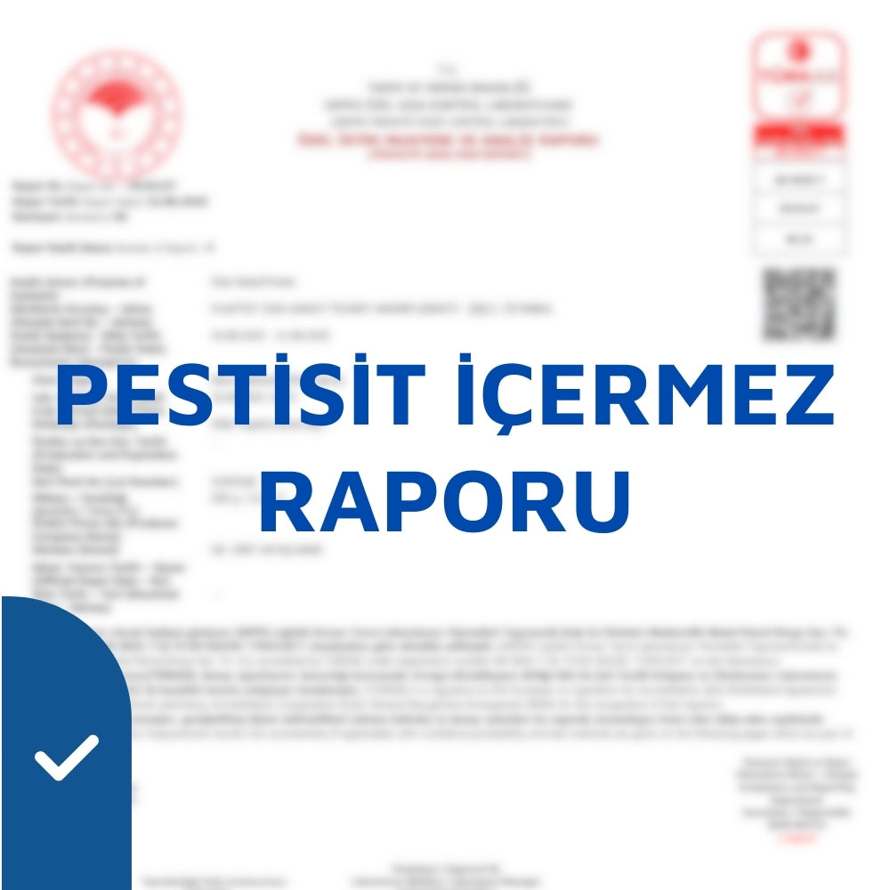Analiz Raporu