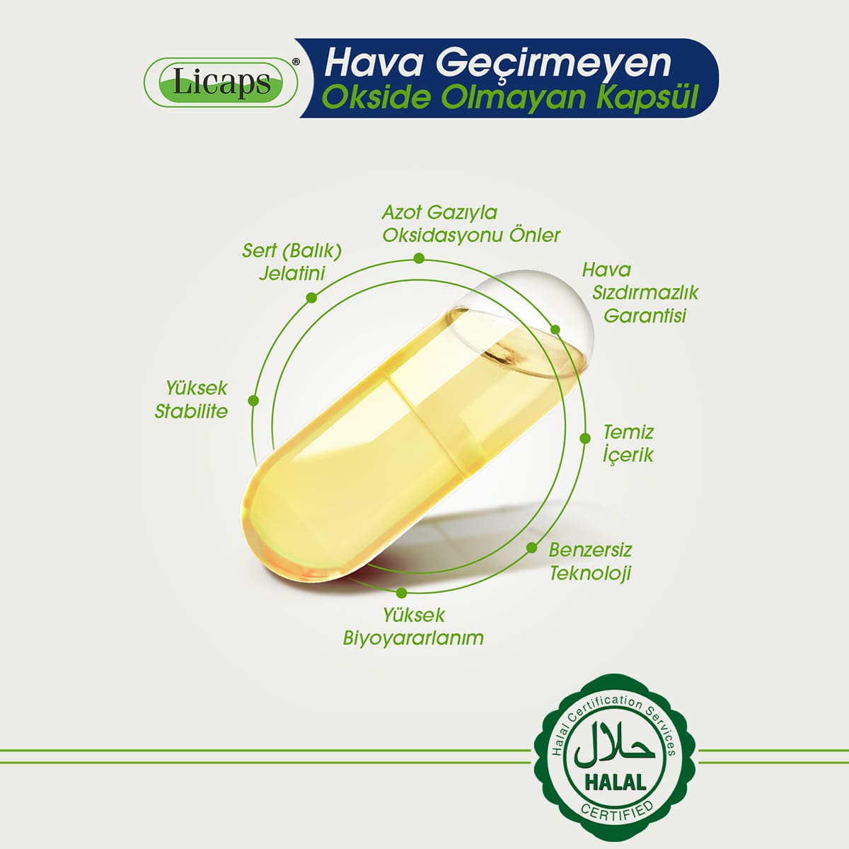 Omega 3 33/22