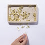 Omega 3 33/22