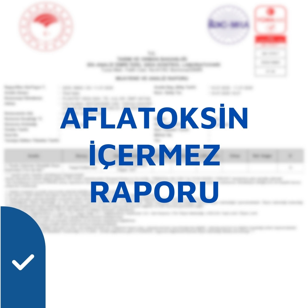 Analiz Raporu