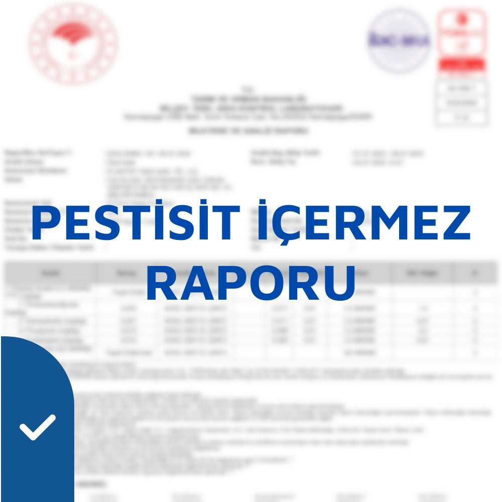 Analiz Raporu