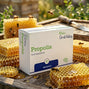 Propolis