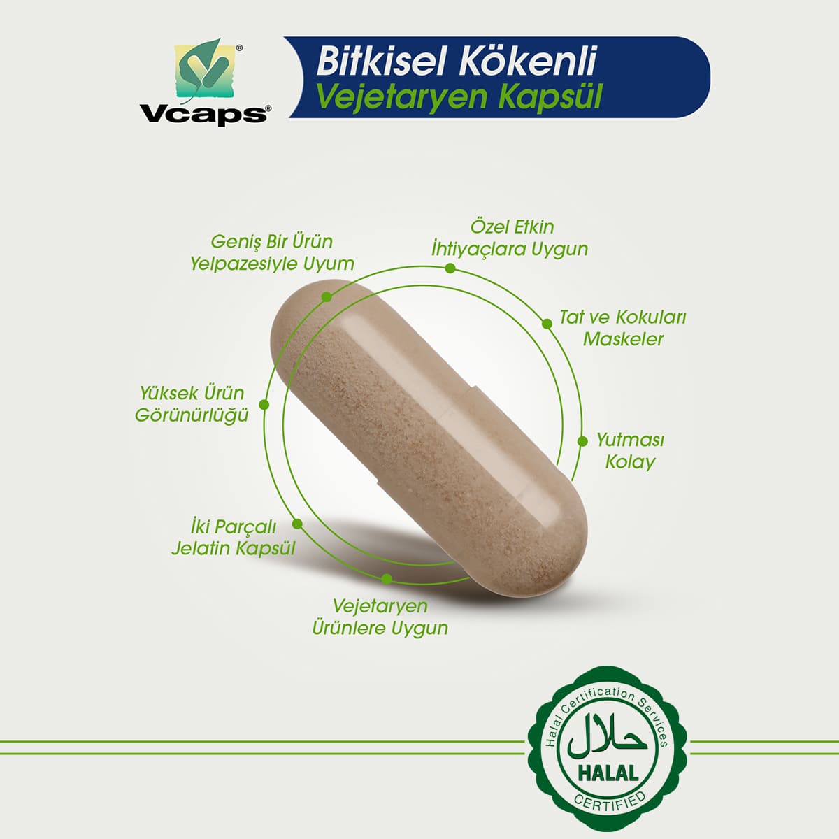 Reishi Mantarı Ekstraktı