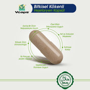 Reishi Mantarı Ekstraktı
