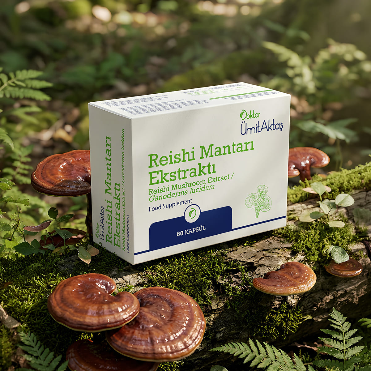 Reishi Mantarı Ekstraktı