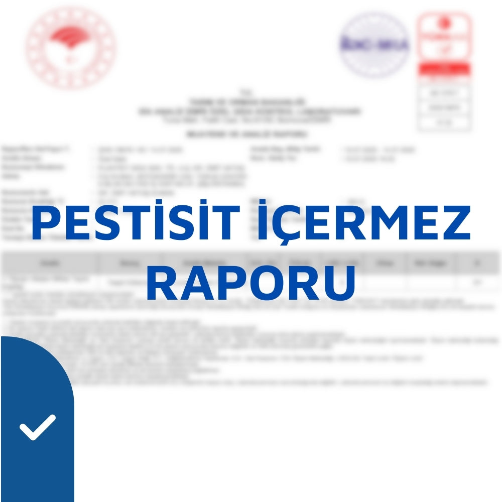 Analiz Raporu