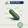 Spirulina