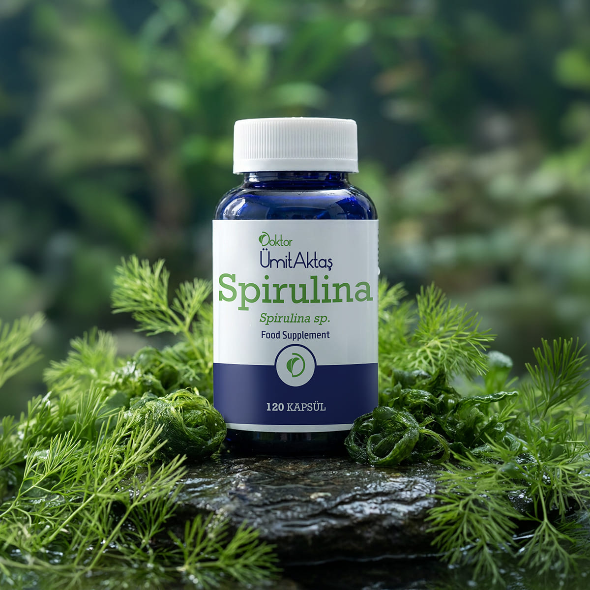 Spirulina
