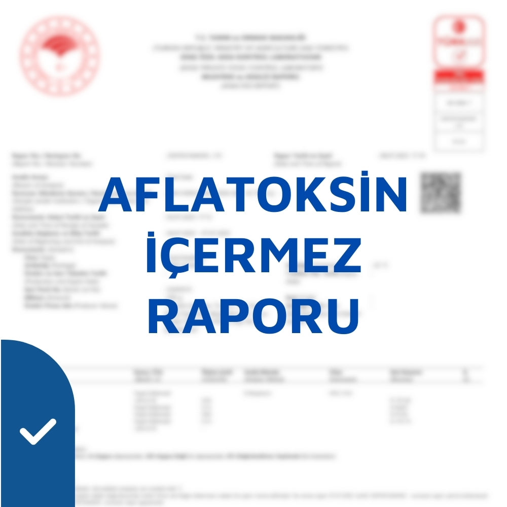 Analiz Raporu