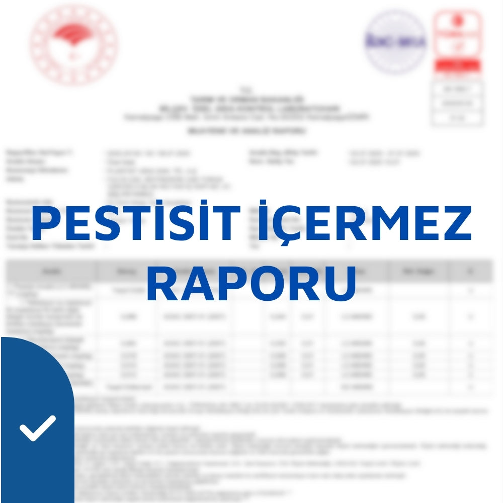 Analiz Raporu