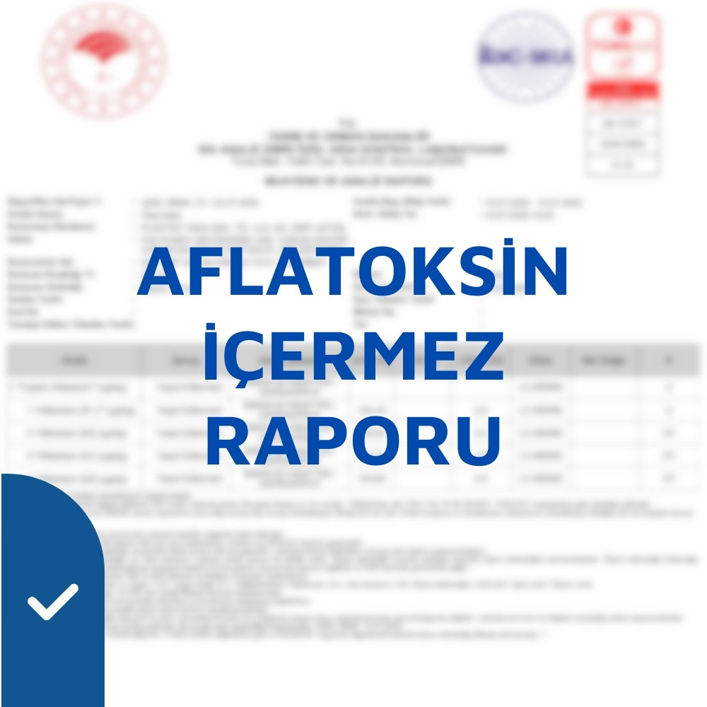 Analiz Raporu