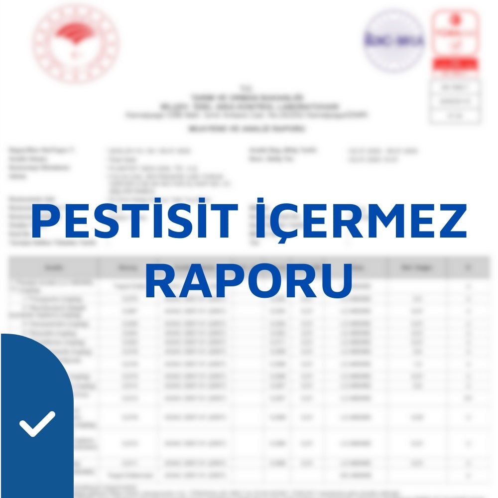 Analiz Raporu