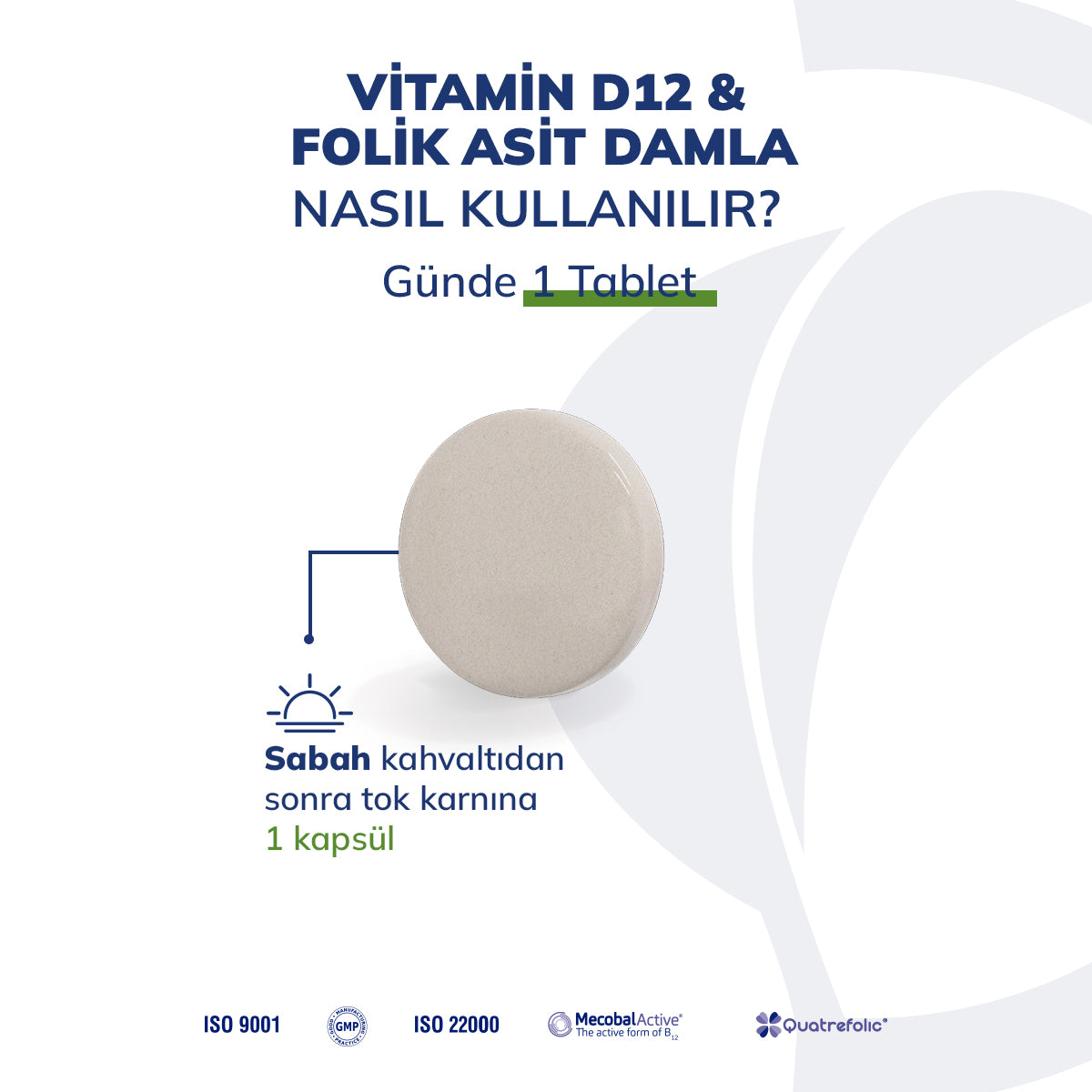 Vitamin B12 & Folik Asit