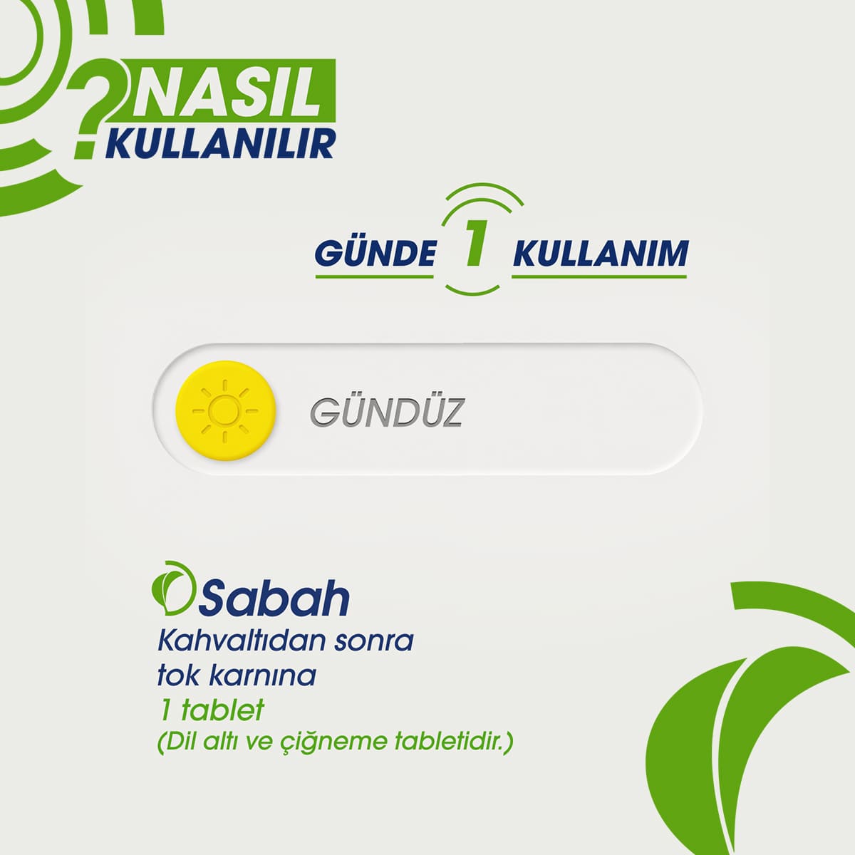 Vitamin B12 & Folik Asit