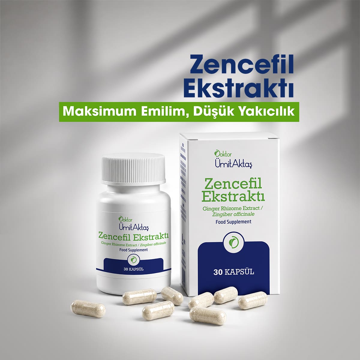 Zencefil Ekstraktı