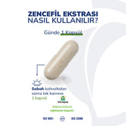 Zencefil Ekstraktı