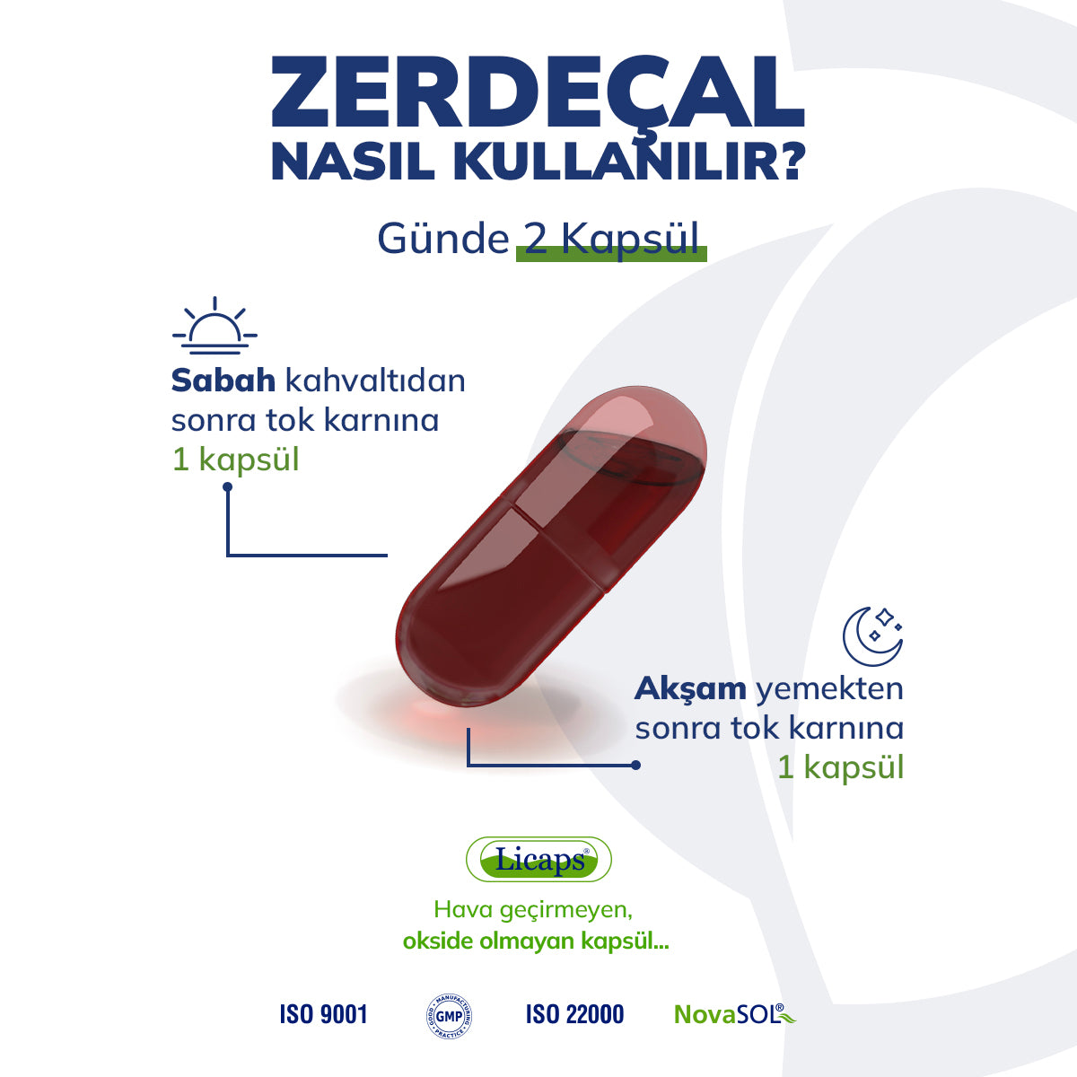 Zerdeçal Ekstraktı