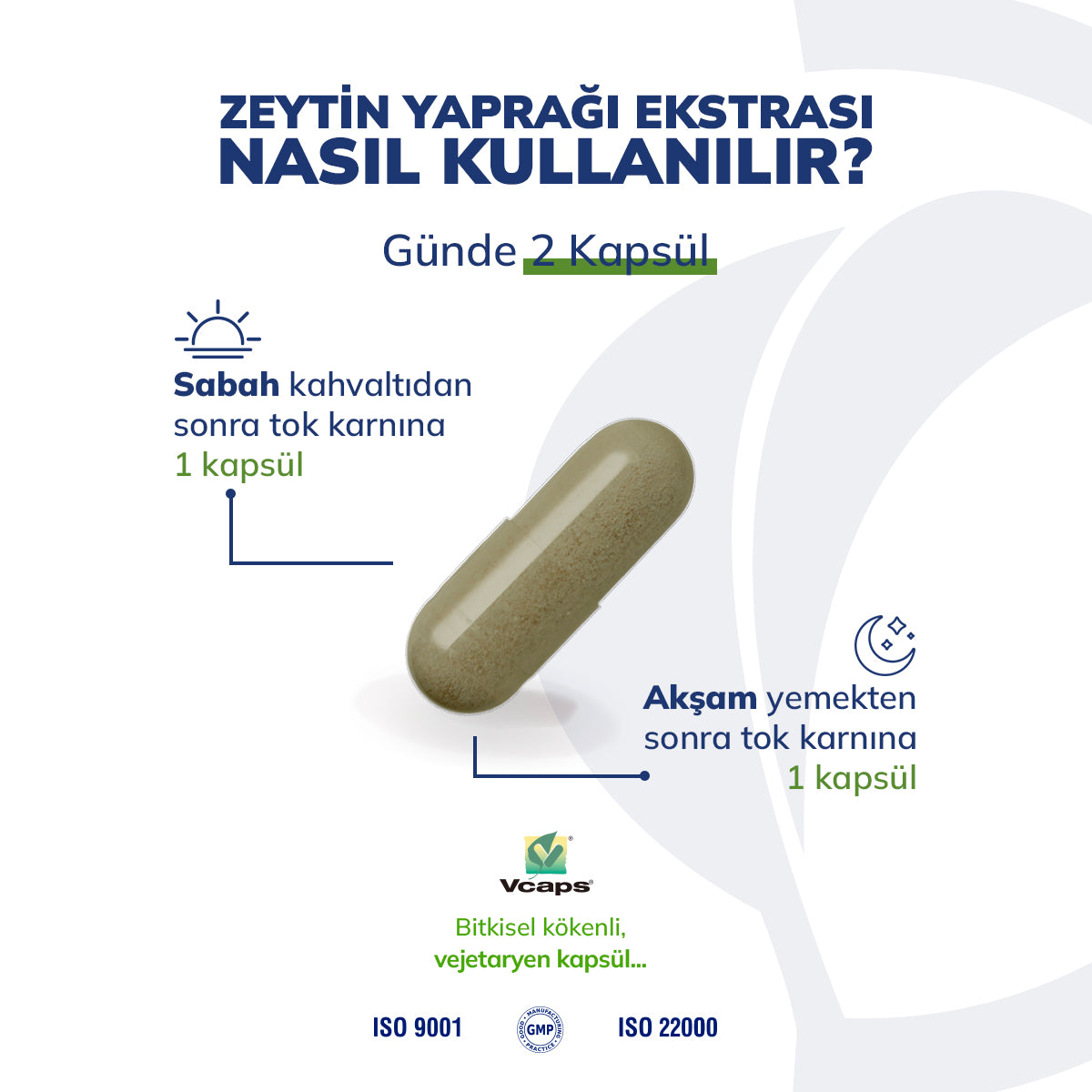 Zeytin Yaprağı Ekstraktı