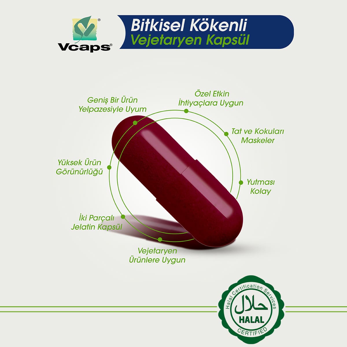 Zeytin Yaprağı Ekstraktı