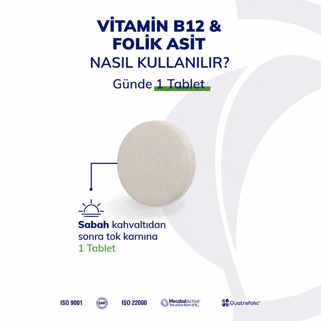 Vitamin B12 & Folik Asit