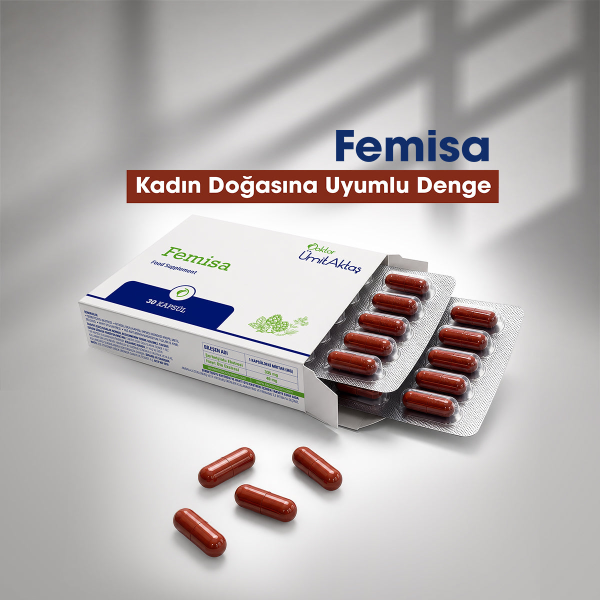 femisa_new.jpg