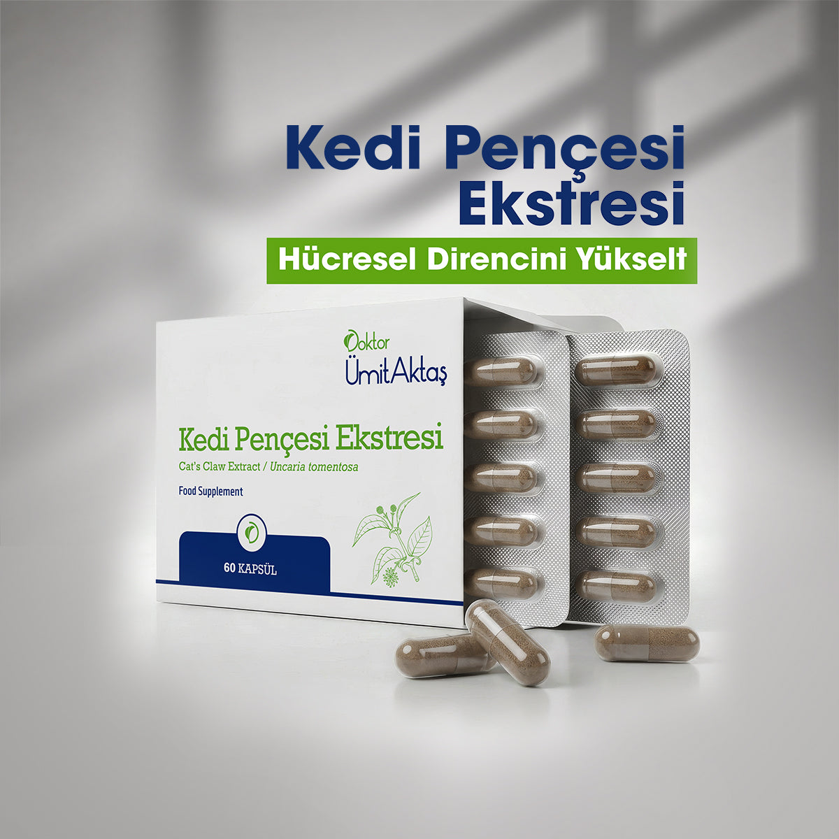 kedi_pen_esi_ektresi.jpg