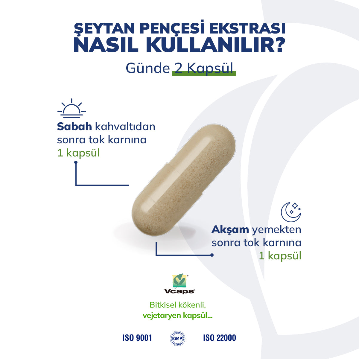 Şeytan Pençesi Ekstraktı